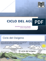 Ciclo Del Agua