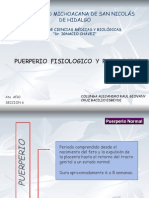 Tema 14 Puerperio Fisiologico y Patologico