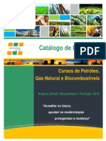 Catalogo 2014 - Oil & Gas