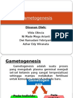 Gametogenesis