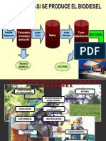 Produccion Biodiesel