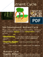 Cornell Notes Nutrient Cycle