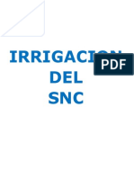 IRRIGACION SNC.pdf