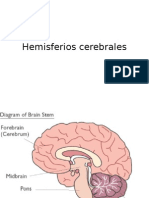 Hemisferios_cerebrales.ppt