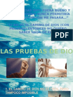 Las Pruebas de Dios