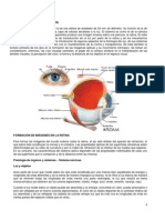 Fisiologia de La Vision PDF