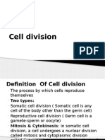 Cell Division