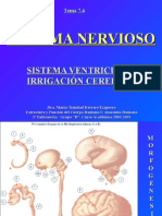 7.4 SISTEMA VENTRICULAR Y VASCULAR.ppt