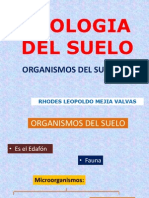 Ecologia Del Suelo