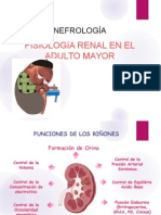 Nefro - Fisiologia Renal