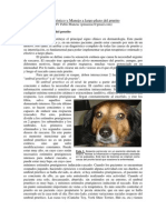 articulo dermatologia prurito.pdf