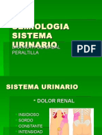 Semiología Del Sistema Urinario