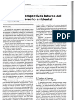 Perspectivas Futuras Del Derecho Ambiental