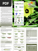 E o Frango Com Quiabo Nunca Mais