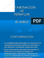 Contaminacion de PeÑaflor