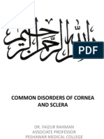 Cornea and Sclera III Common Disorders