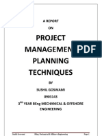 Project management assignment pdf report