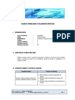 FormulacionDeProyectos PDF