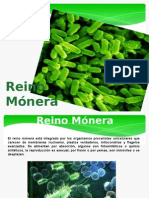 Reino Monera