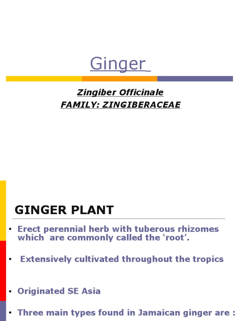 literature review of ginger pdf