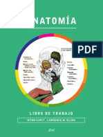 Anatomia