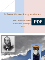 Inf. Crónica Granulomas 2014