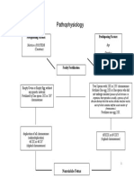 Pathophysiology: Precipitating Factors: Predisposing Factors