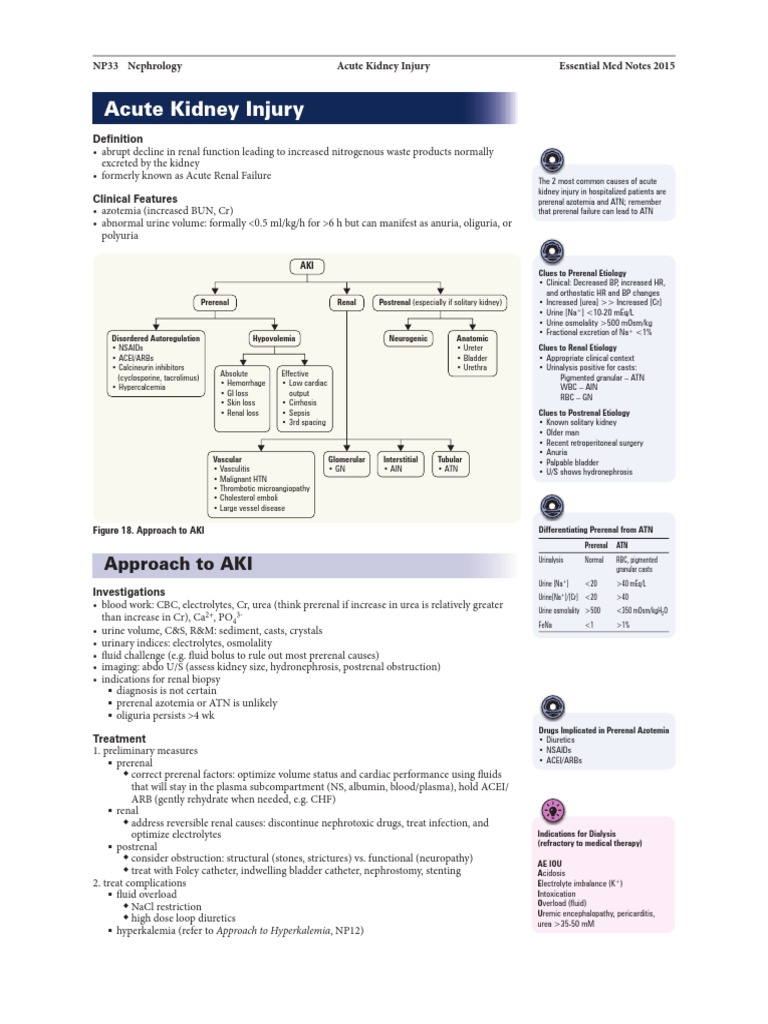 Acute Kidney Injury Overview | PDF | Kidney | Genitourinary System