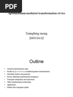 Download Agrobacterium-Mediated Transformation of Rice by MVeena SN28198034 doc pdf