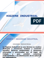 Higiene y Seguridad Industrial