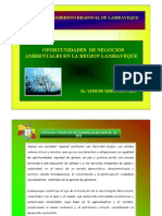 NegociosAmbientalesLambayeque_Simons.pdf