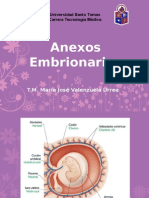 Anexos Embrionarios