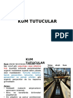 Kum Tutucular