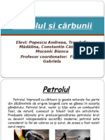 Petrolul Si Carbunii