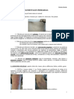 Lesiones Cutaneas