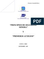 Principios de Seguridad Minera