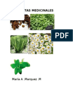 Plantas Medicinales