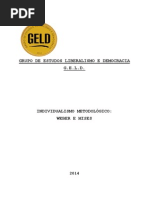 INDIVIDUALISMO METODOLÓGICO 
