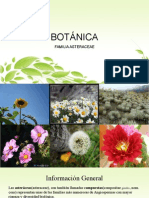BOTANICA - Familia Asteraceae