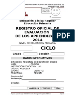 Registro Auxiliar de Evaluacion 2014