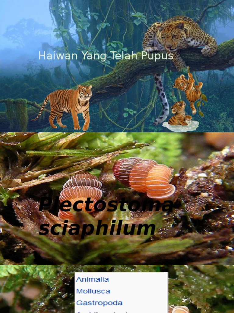 Haiwan Yang Hampir Pupus Di Malaysia
