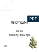 Garlic Production