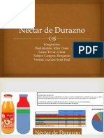 Costos de Producción Néctar de Durazno 1 PDF