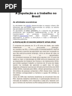A População e o Trabalho No Brasil