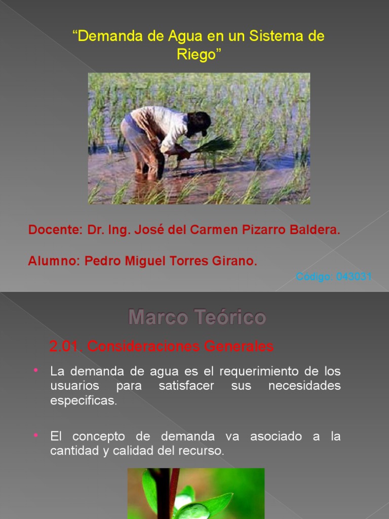 Demanda de Agua en Un Sistema de Riego.. Trabajo 2 | PDF | Riego | Agua