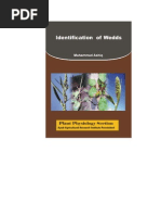 Download Weeds Identification by Adeel Anwar SN282187127 doc pdf