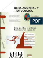 Marcha Anormal y Patologica
