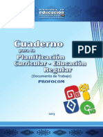 Planificacion Curricular - Ed. Reg.