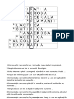 Paraschiv Roxana - Rebus Biologie (Respiratie)