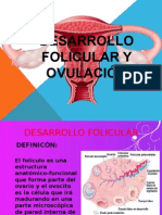 Desarrollo Folicular y Ovulación